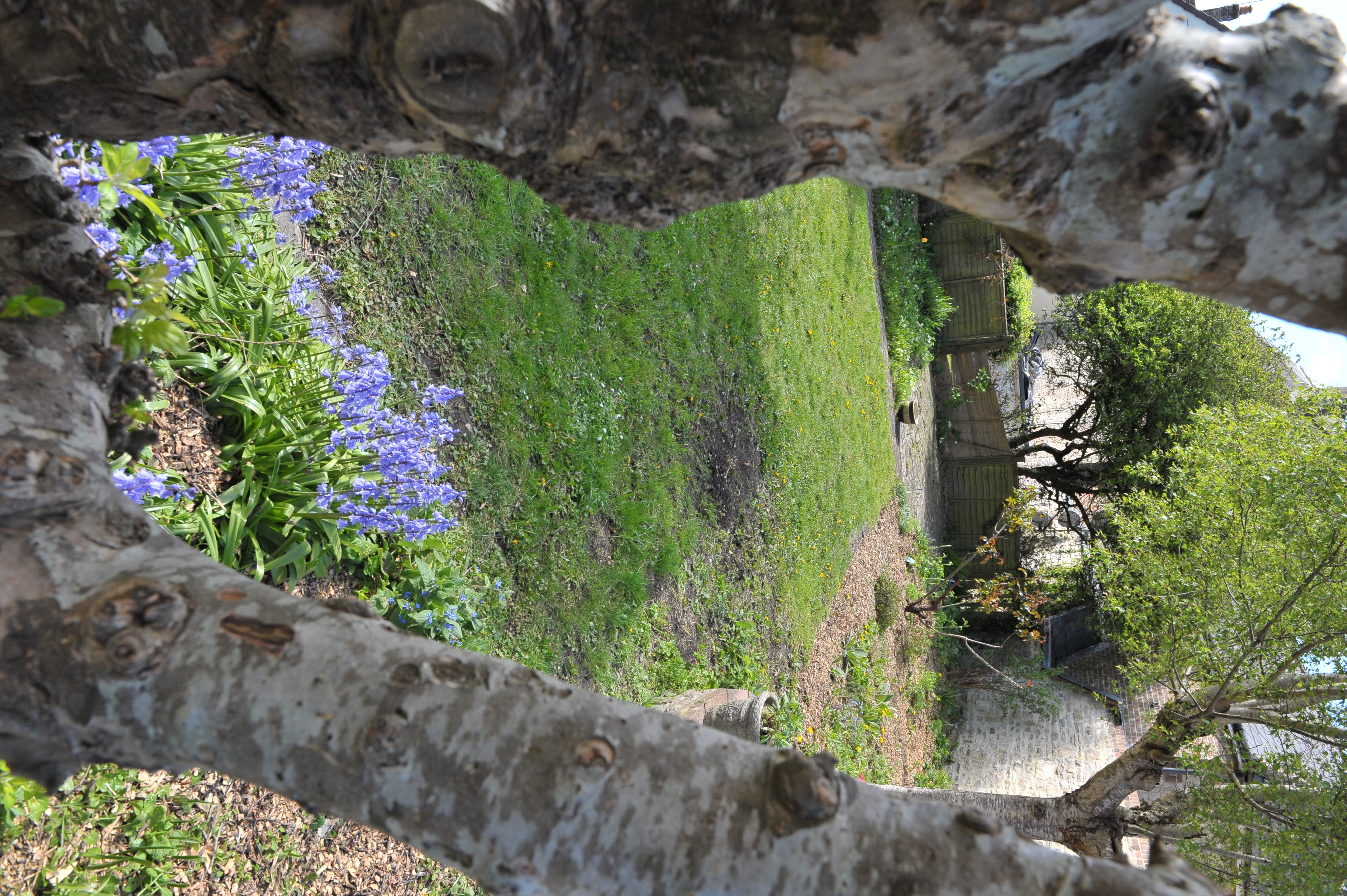 Garden detail at The Little Green Cottage